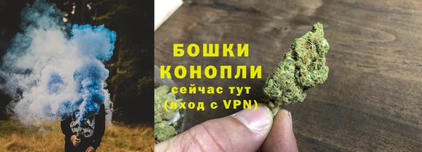 прущий лед Горняк