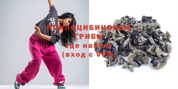 гашик Михайлов