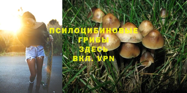 прущий лед Горняк