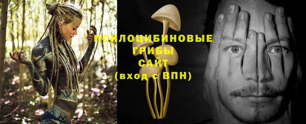 прущий лед Горняк