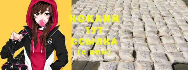 прущий лед Горняк